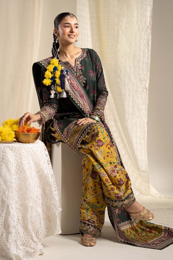 3 Piece Embroidered Khaddar Suit